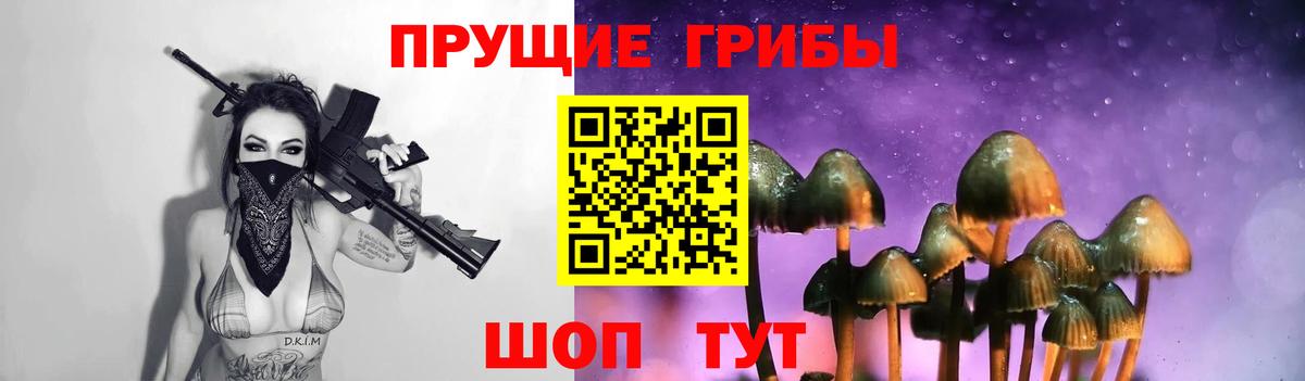 Борисоглебск  Галлюциногенные грибы прущие грибы  Вход с VPN  Галлюциногенные грибы мухоморы 